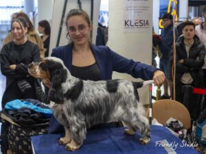 CFT24-Spaniel-9893-scaled